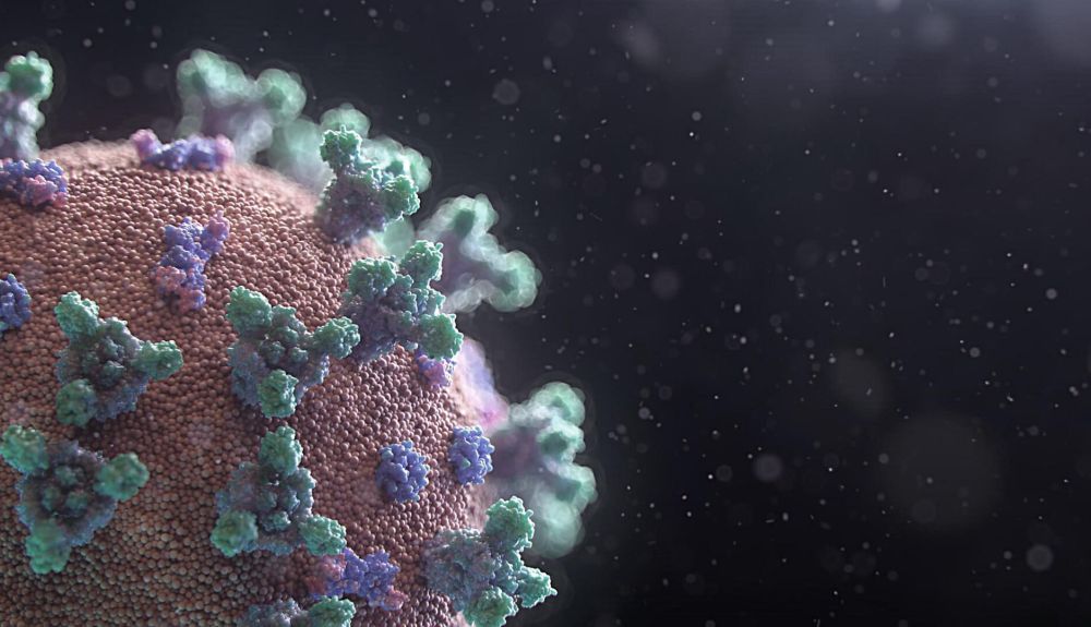 6 leadership qualities that matter during a pandemic