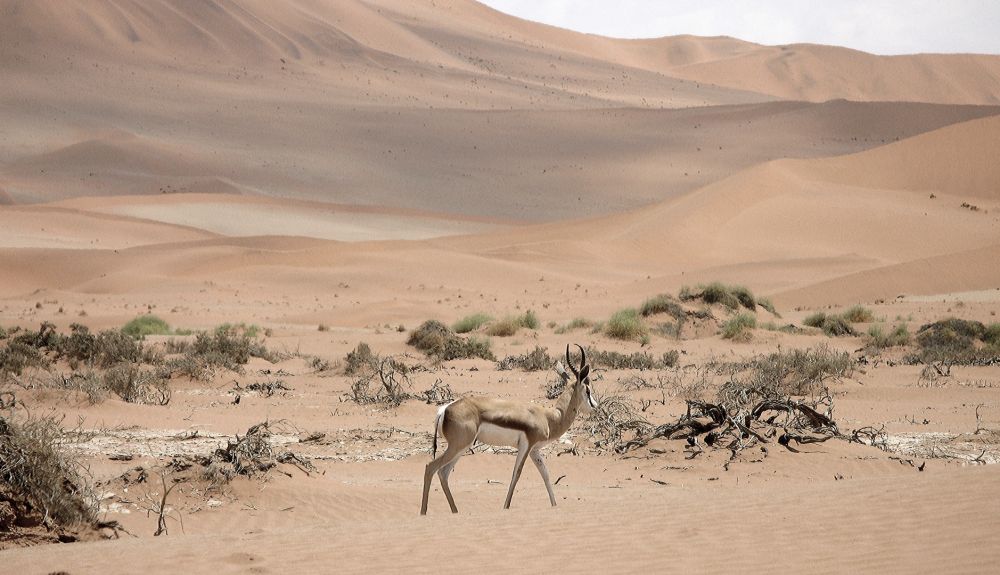 Namibia: Sustainable tourism development through leadership